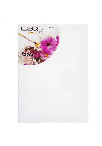 Ceo Art Çerçeveli Tuval 50x70 Düz CEO00012