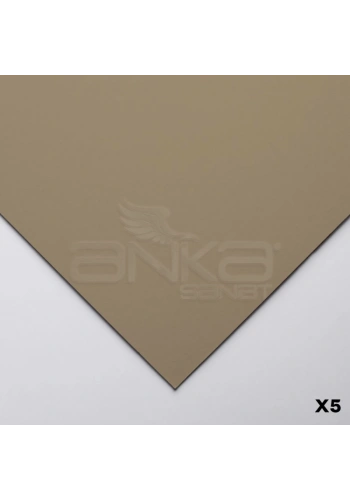 Clairefontaine Pastelmat Pastel Kağıdı 50x70cm 360g 5li Paket Brown