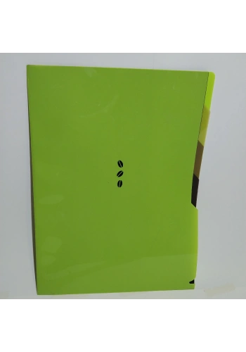 Comix L Dosya A4 4 Lü Florasan Renkler A7434