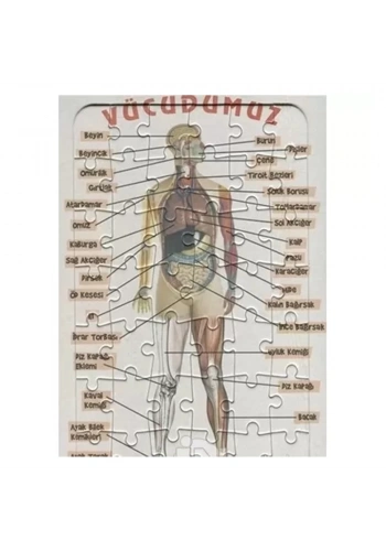 Ema Yap-Boz İnsan Vücudu 25x35 /Eleleilkadım