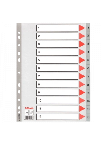 Esselte Seperatör 1-12 Rakamlı Plastik A4 100106