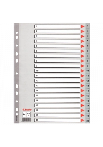 Esselte Seperatör 1-20 Rakamlı Plastik A4 100107