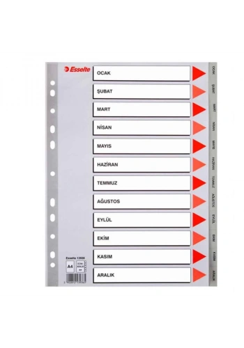 Esselte Seperatör Aylar Plastik A4 13936