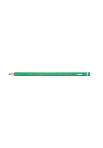 FC Başlık Kopya Kalemi Yeşil (1131440000)