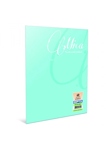 Gıpta Defter (Dikişli ) Mica Plastik Kapak Çizgili 100 YP A5 2934