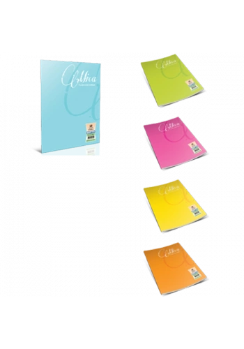 Gıpta Defter (Dikişli ) Mica Plastik Kapak Kareli 40 YP A5 1710