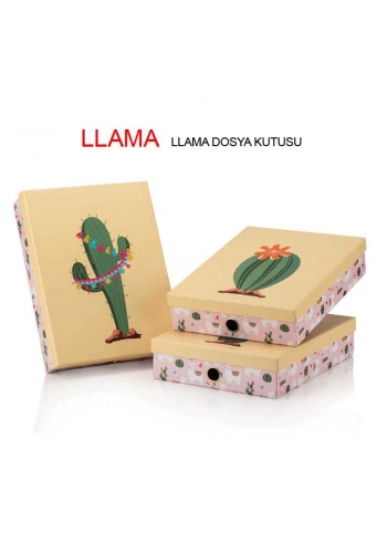 Gıpta Llama Dosya Kutusu llama Dosya Kutusu ORG8844