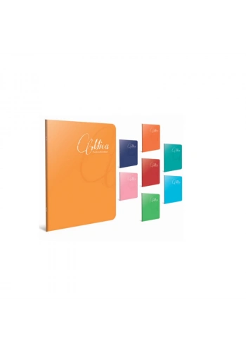 GIPTA MICA A5 60 YP KARELİ PP KAP.DEFTER 1712