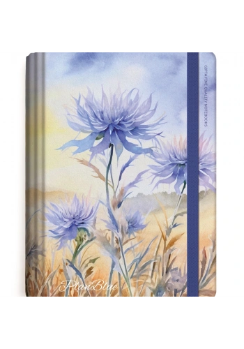 Gıpta Plan Blue Spiralli Sert Kapak Defter 13x21 120yp. Çizgili+Kareli