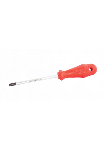 İzeltaş Delikli Torx Uçlu Tornavida