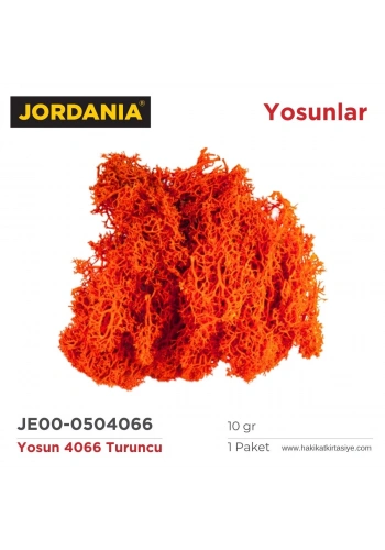 Jordania Yosun 4066 Turuncu 10gr
