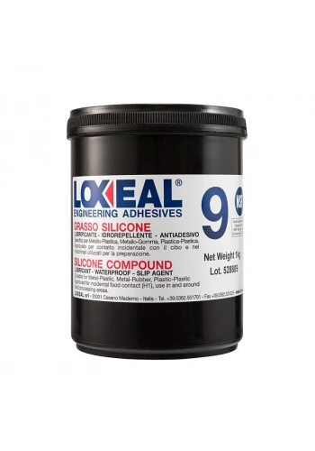 Loxeal Gres Silikon Bazlı GS9 1 Kg