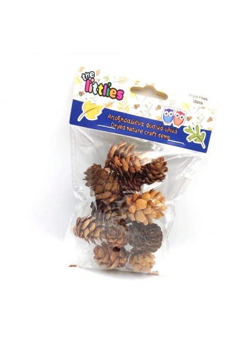 Luna Doğal Kuru Çam Kozalakları 12li