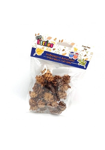 Luna Doğal Kuru Çam Kozalakları 20gr