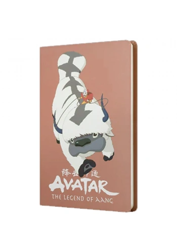 Mabbels Sert Kapak Butik Defter Avatar Appa ve Aang Puce Rengi 80 YP 15x21 DFT-388210