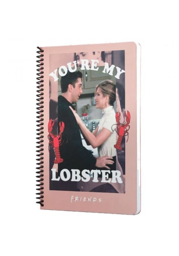 Mabbels Spiralli Defter Friends Youre My Lobster Pembe 80 YP 17x24 DFT-388463