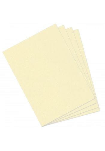 Mi-Teintes 160gr 50x65cm 101 Pale Yellow 3lü