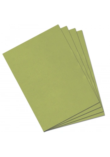Mi-Teintes 160gr 50x65cm 480 Light Green 3lü