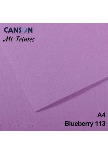 Mi-Teintes 160gr A4 113 Blueberry 3lü