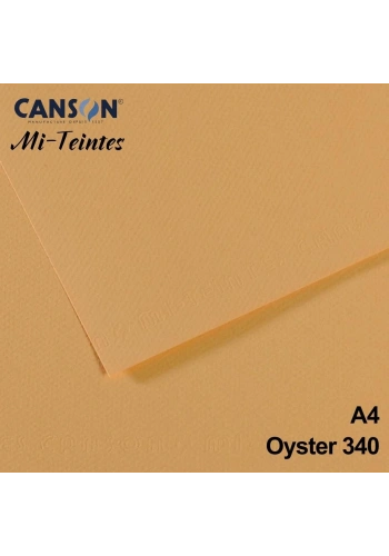 Mi-Teintes 160gr A4 340 Light Hemp 3lü