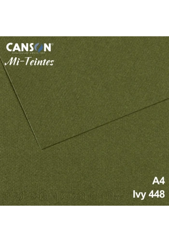 Mi-Teintes 160gr A4 448 Sea Green 3lü