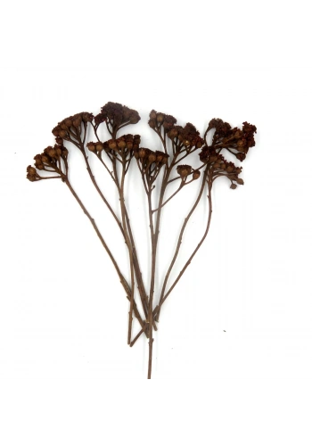 Odak Hobi Poşet Ağaç Kahverengi