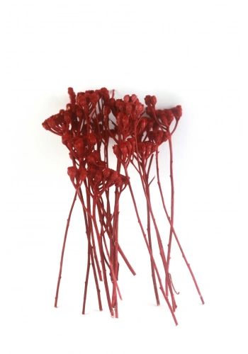 Odak Hobi Poşet Ağaç Kırmızı