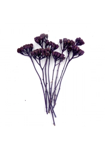 Odak Hobi Poşet Ağaç Mor