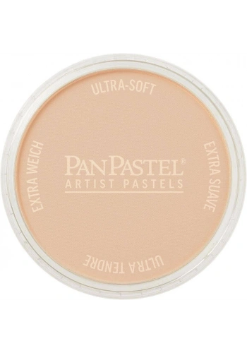 PanPastel Ultra Soft Artist Pastel Boya 280.8 Orange Tint