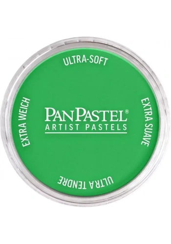 PanPastel Ultra Soft Artist Pastel Boya 640.5 Permanent Green