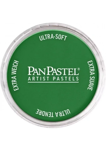 PanPastel Ultra Soft Artist Pastel Boya 640.3 Permanent Green Shade