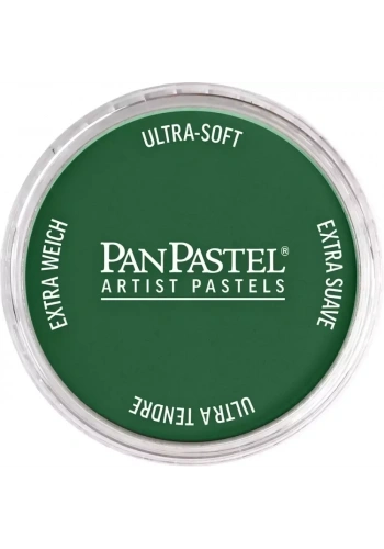 PanPastel Ultra Soft Artist Pastel Boya 640.1 Permanent Green Extra Dark
