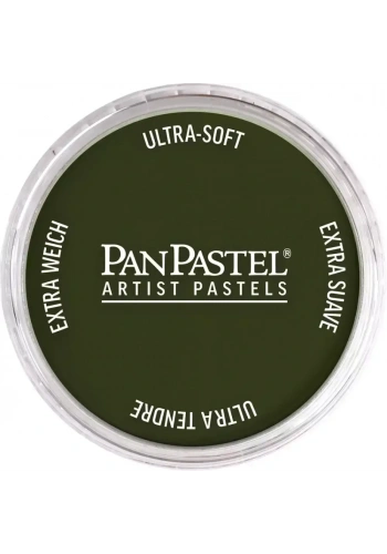 PanPastel Ultra Soft Artist Pastel Boya 660.3 Chromium Oxide Green Shade