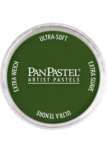 PanPastel Ultra Soft Artist Pastel Boya 660.5 Chromium Oxide Green
