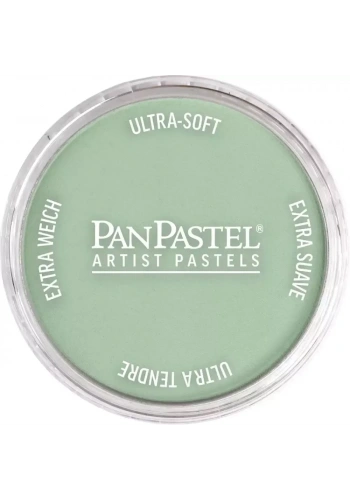 PanPastel Ultra Soft Artist Pastel Boya 660.8 Chromium Oxide Green Tint