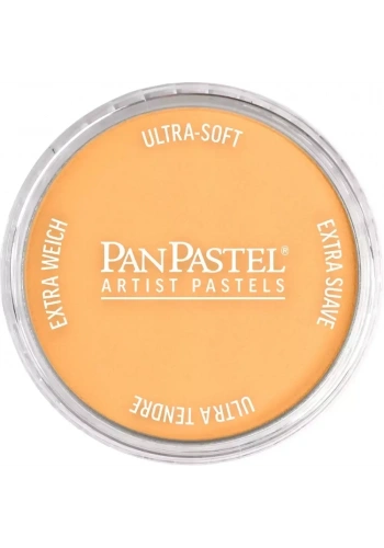 PanPastel Ultra Soft Artist Pastel Boya 952.5 Pearlescent Orange