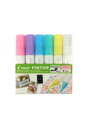 Pilot Pintor Marker Kalem Seti 6lı M Pastel