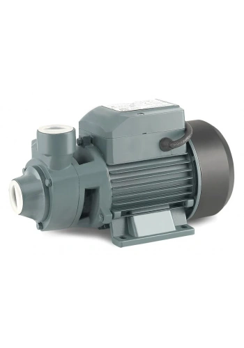 Rainpump Qb60 Santrifuj Pompa 0.37 Kw