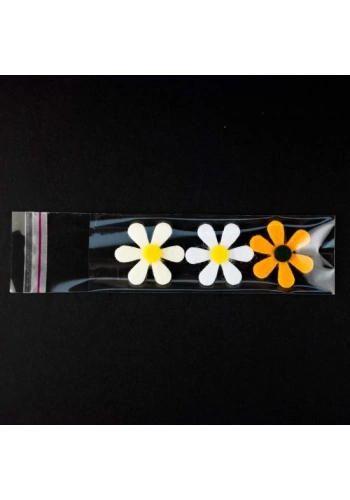 ŞEFFAF BANTLI POŞET (20X30) 1000 adet