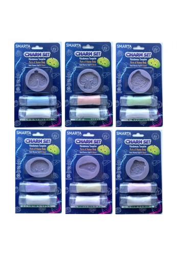 Smarta Charms - Vücudumuzu Tanıyalım Mix (6*1)