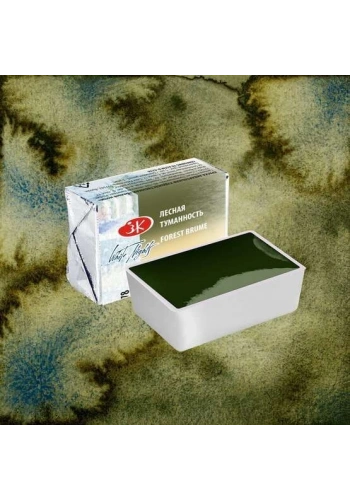 St. Petersburg White Nights Metamorphosis Tablet Sulu Boya 778 Forest Brume
