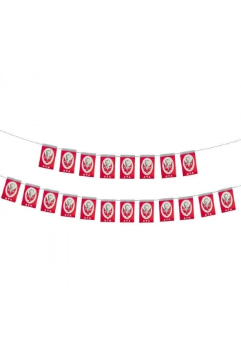 VATAN İPLİ MİNİK BOY ATALI BAYRAK 40 LI VT806