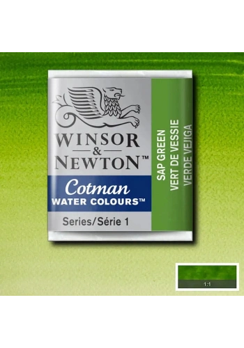 Winsor & Newton Cotman Yarım Tablet Sulu Boya 599 Sap Green