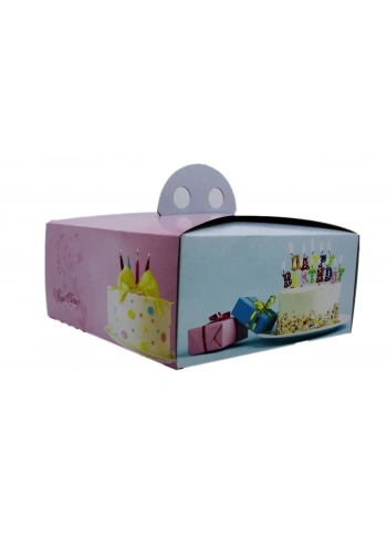 Yaş Pasta Kutusu 2 Numara 100lü.