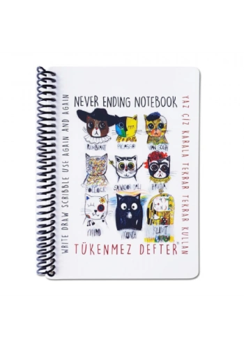 Akademi Çocuk Tükenmez 13x16cm Not Defteri-4 Ressam Kediler 3010