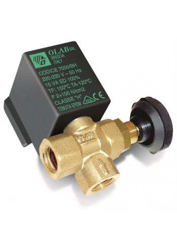 Ütü Solenoid Valf 1/4 (Ayarlı) / TY 7000/G