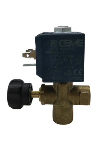 Ütü Solenoid Valf 1/4 (Ayarlı) / 6660 (TY 7000/G)