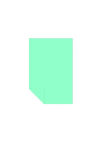 Alex Schoeller Kolej Fon Kartonu 35x50 cm No:04 Fıstık Yeşili 100lü