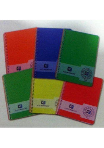 Alex Schoeller Spiralli Çizgili Defter A4 80 Yaprak