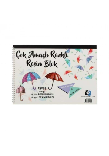 Alex Schoeller Spiralli Çok Amaçlı Resim Defteri 25x35 cm 25li